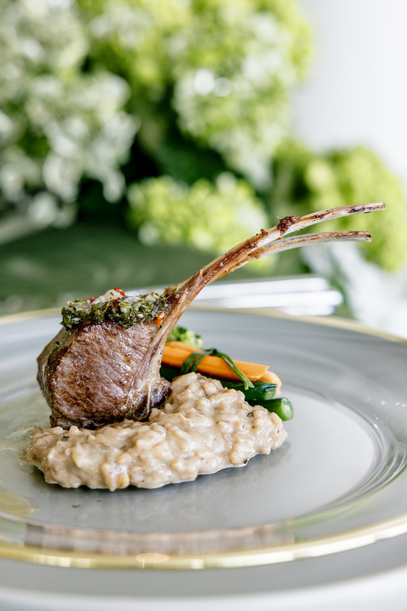 Herb-crusted lamb chop on mushroom risotto with seasonal vegetables